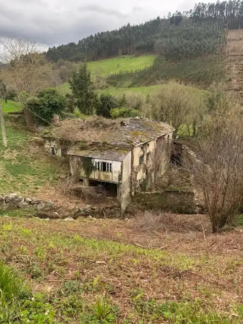 Vista exterior de Finca rústica en venta en Castropol