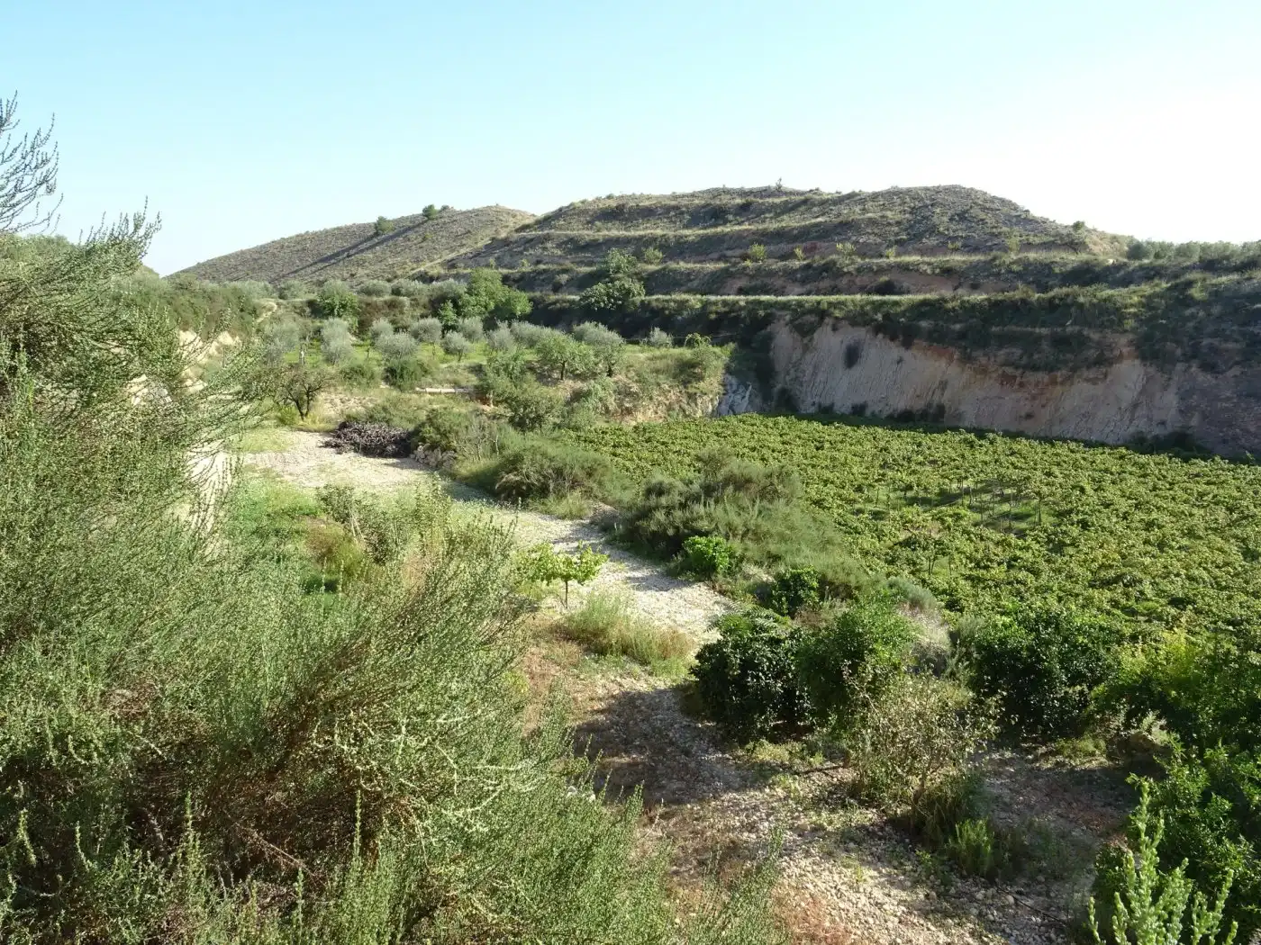 Casa o xalet en venda a Pedanías Este