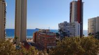 Vista exterior de Estudi en venda en Benidorm amb Jardí privat, Terrassa i Piscina comunitària