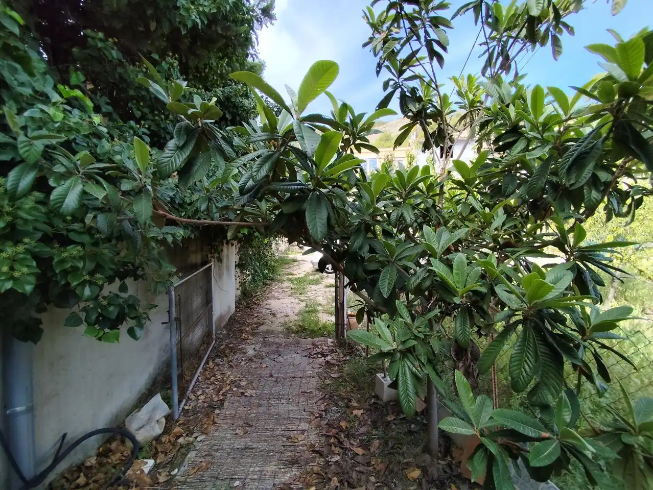 Jardí de Casa o xalet en venda en Alcoy / Alcoi
