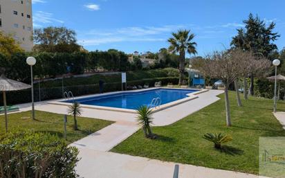 Swimming pool of Study for sale in Torrevieja  with Community pool