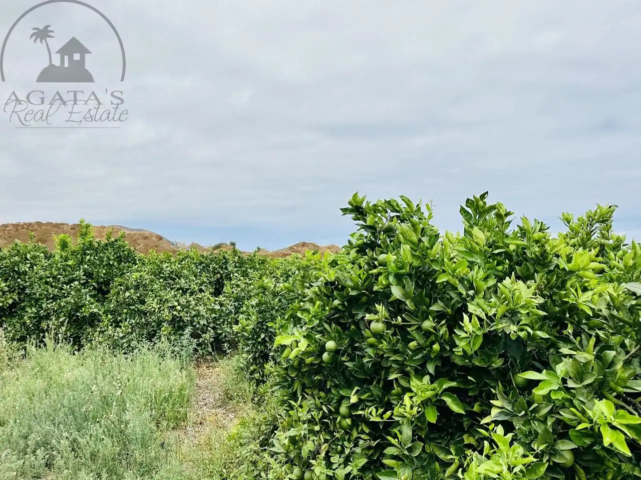 Finca rústica en venta en La Orotava con Jardín privado y Terraza
