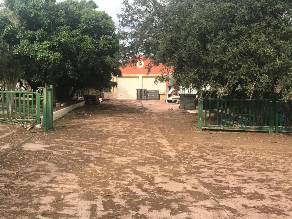 Exterior view of House or chalet for sale in Cartagena