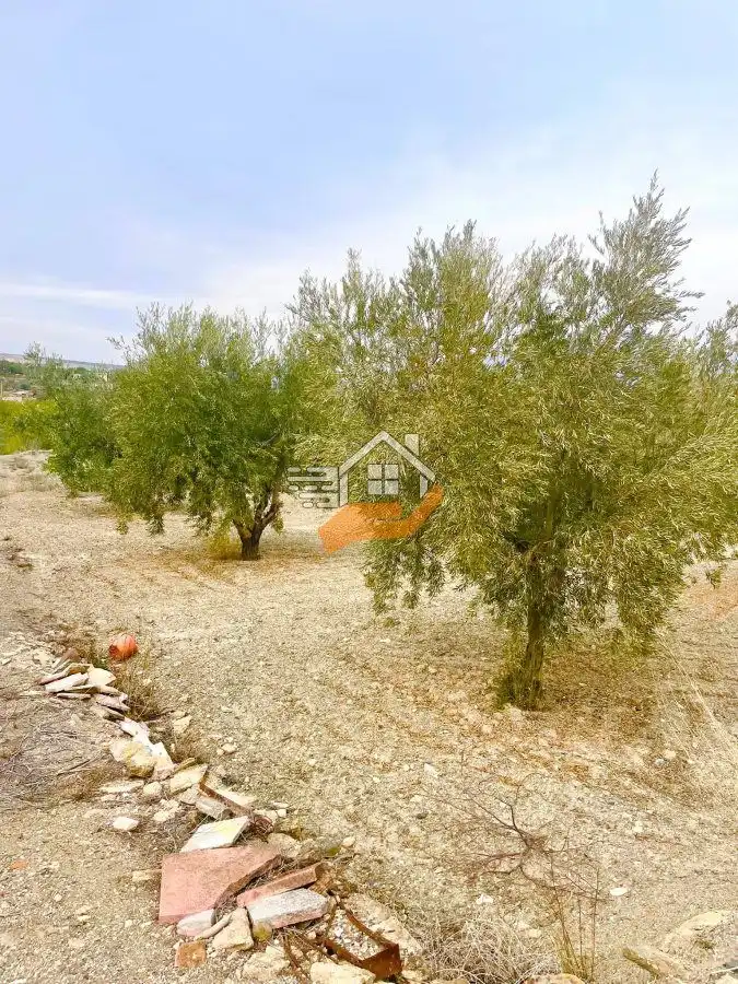 Terrenos y solares en venta en Vélez-Blanco