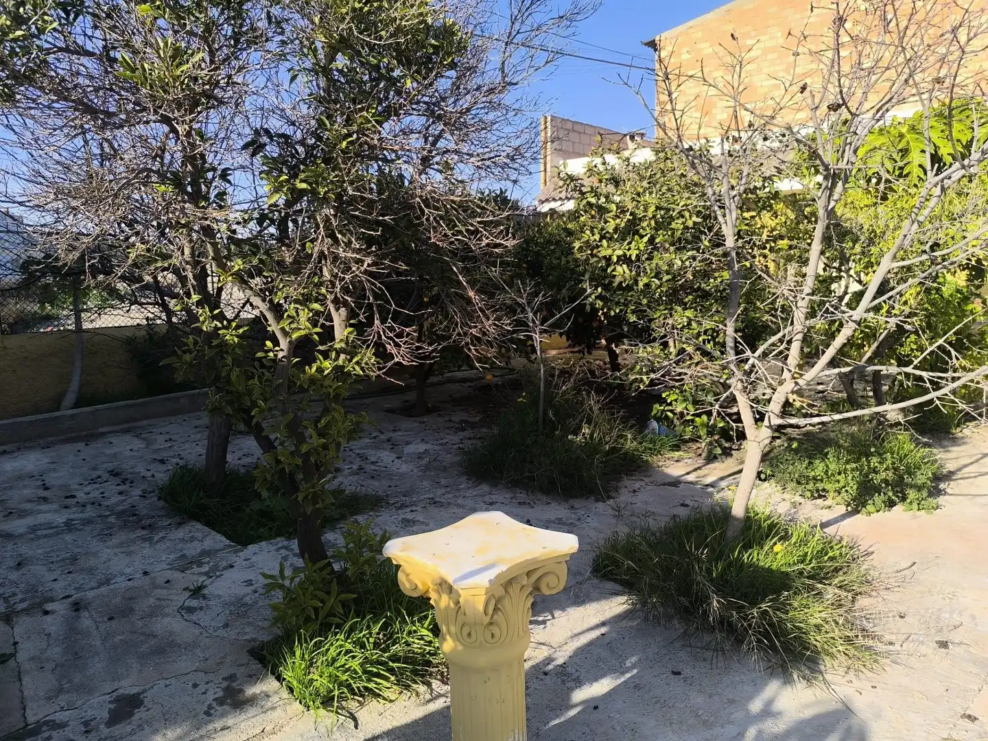 Garden of Houses for sale in Murcia  with Private garden and Storage room