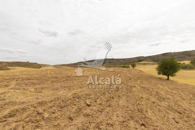 Terreno en Venta en Los Santos de la Humosa