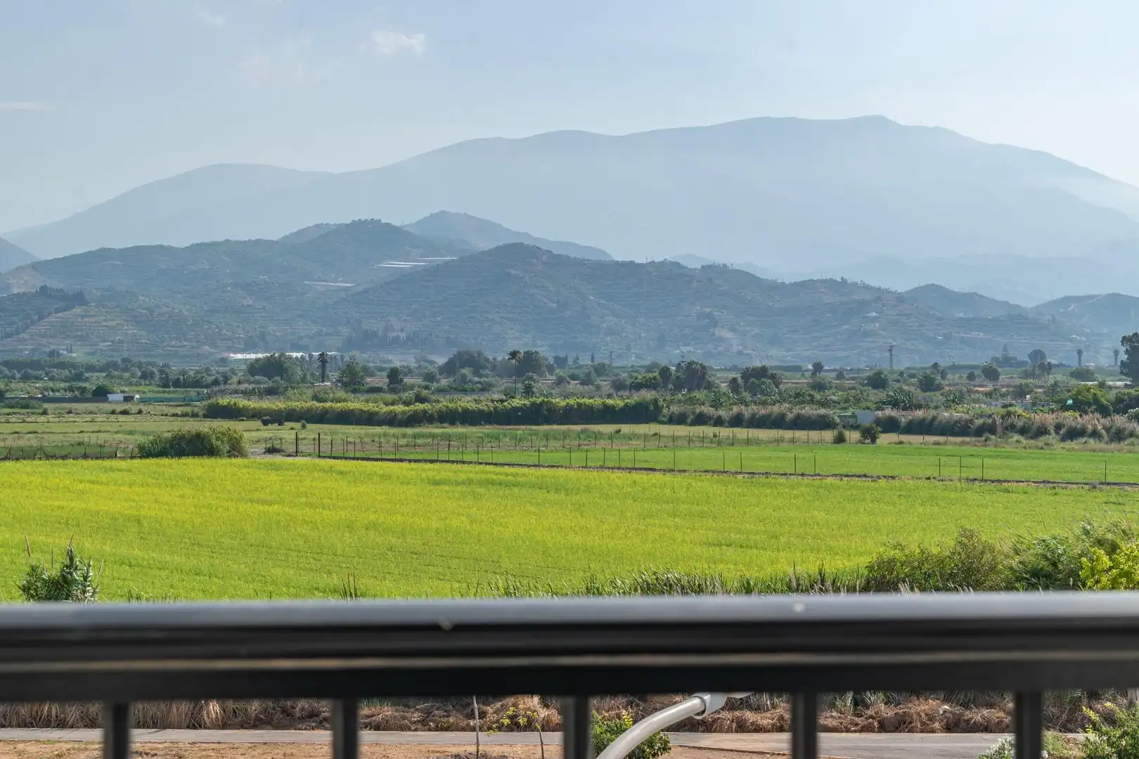 Exterior view of Flat for sale in Salobreña  with Private garden, Terrace and Furnished
