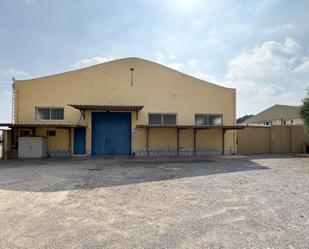 Exterior view of Industrial buildings for sale in Elche / Elx