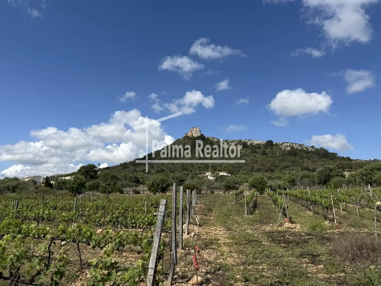 Residential for sale in Son Servera