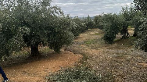 Foto 3 de Terreny en venda a Ja-2321, 181, Andújar, Jaén