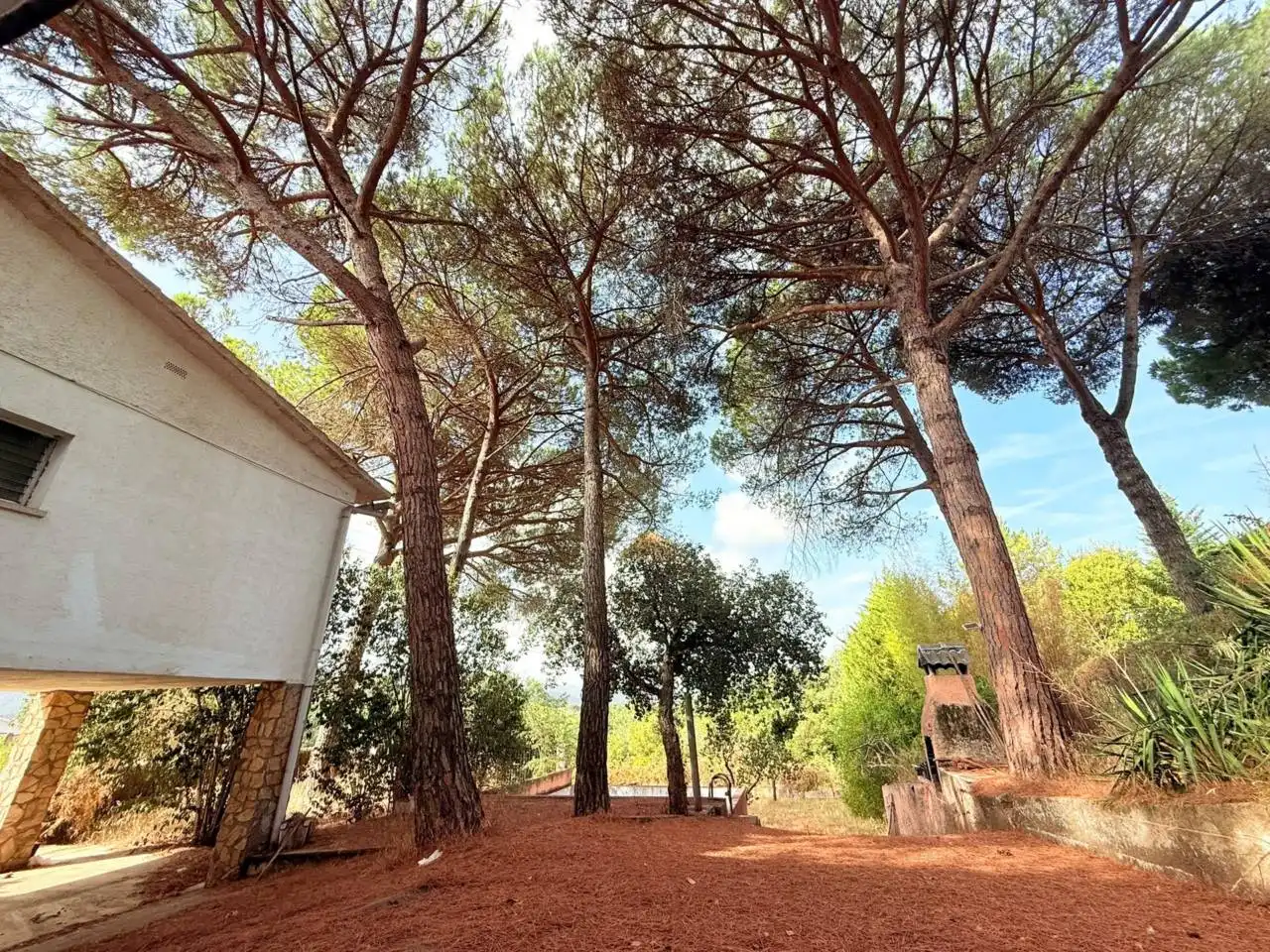 Jardí de Casa o xalet en venda en Riells i Viabrea amb Jardí privat i Terrassa