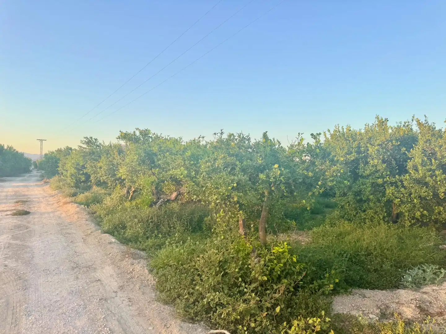 Land for sale in Orihuela