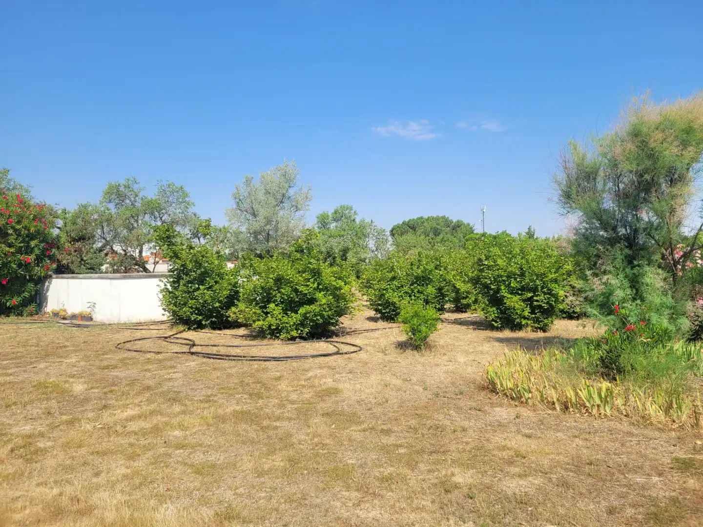 Casa o chalet en venta en Matapozuelos con Calefacción y Jardín privado