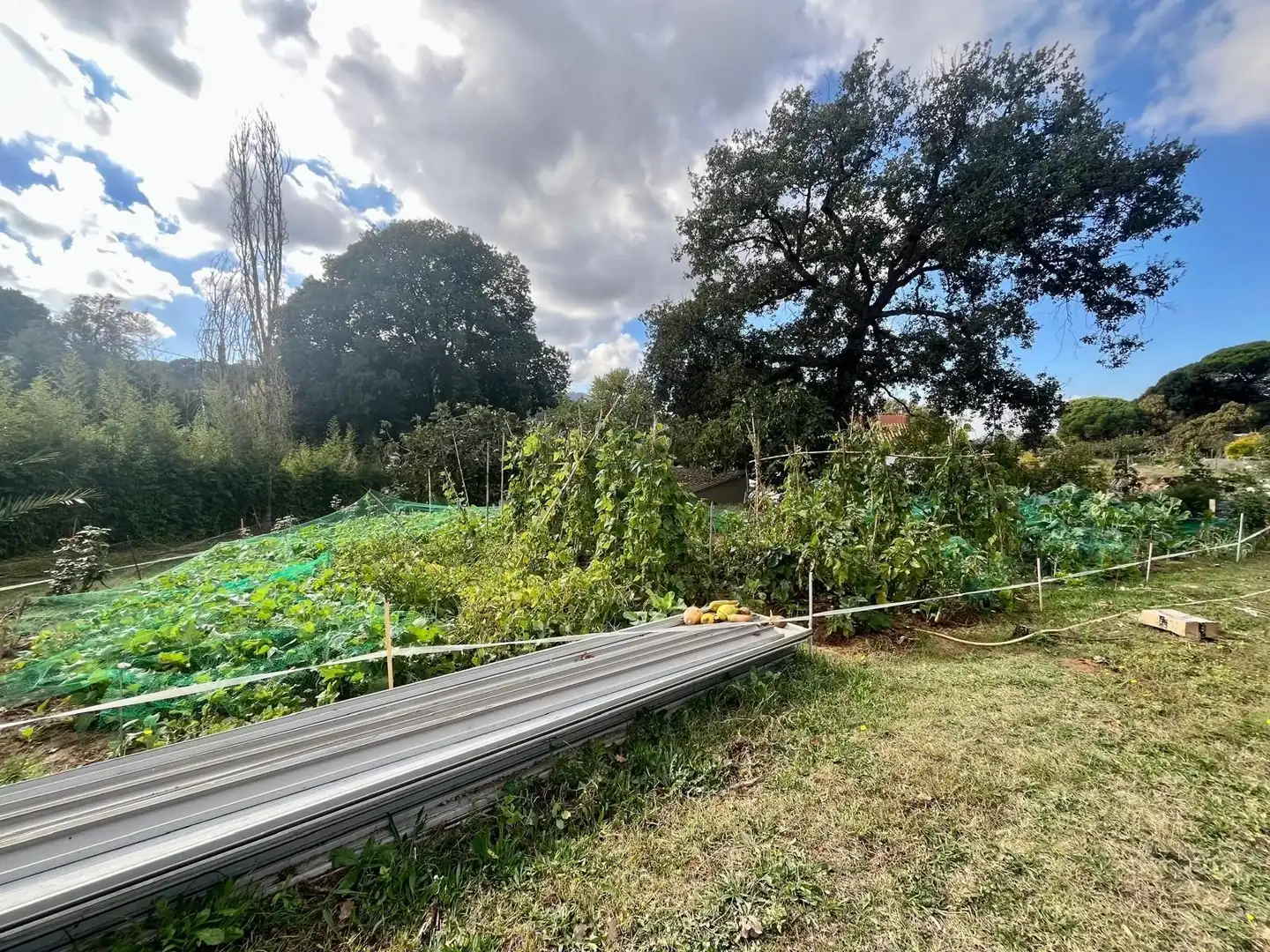 Casa con giardino in vendita a Vilanova del Vallès, imagen 13
