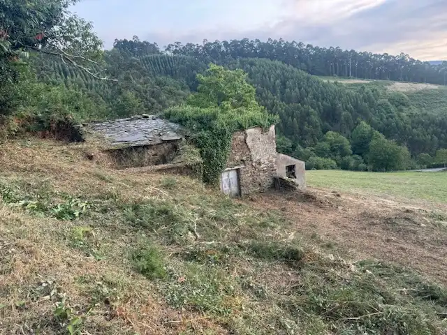 Country house zum Verkauf in Castropol