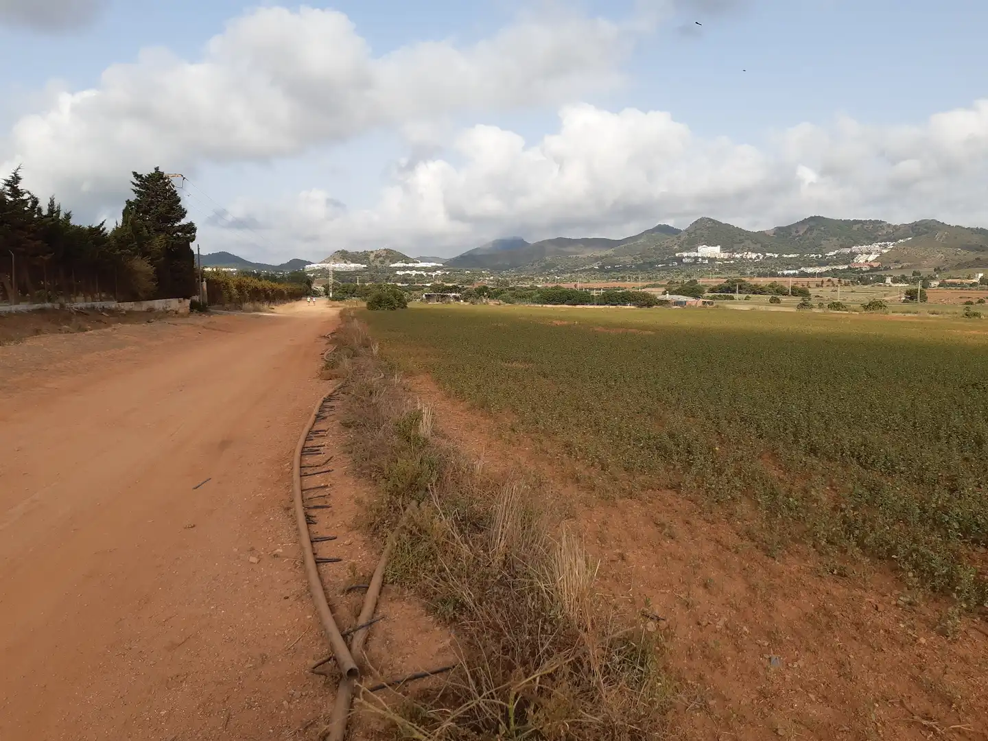 Residential land for sale in Mar Menor de Cartagena – Cabo de Palos, imagen 5