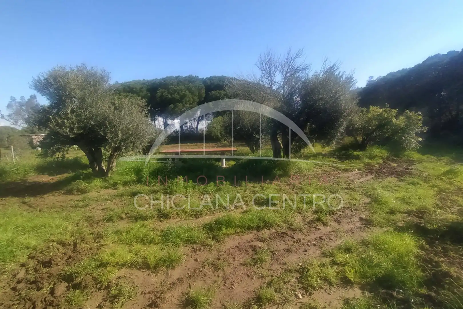 Casa rústica amb jardí en venda a Pelagatos - Pago del Humo, imagen 3