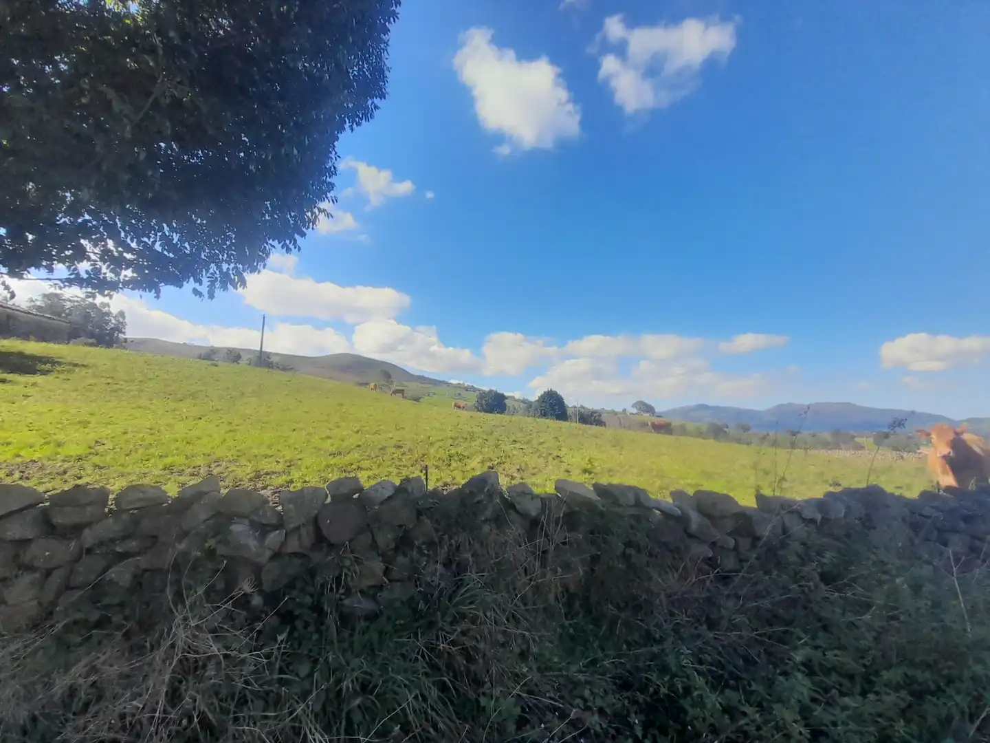Vista exterior de Casa o xalet en venda en Villacarriedo amb Calefacció i Moblat