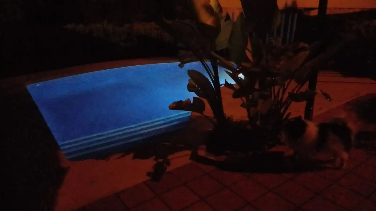 Casa amb piscina en venda a Coloma, imagen 9