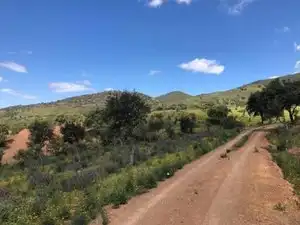 Terreno en venta en Zufre