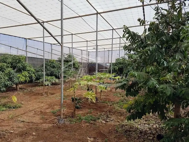Garden of Buildings for sale in Granadilla de Abona