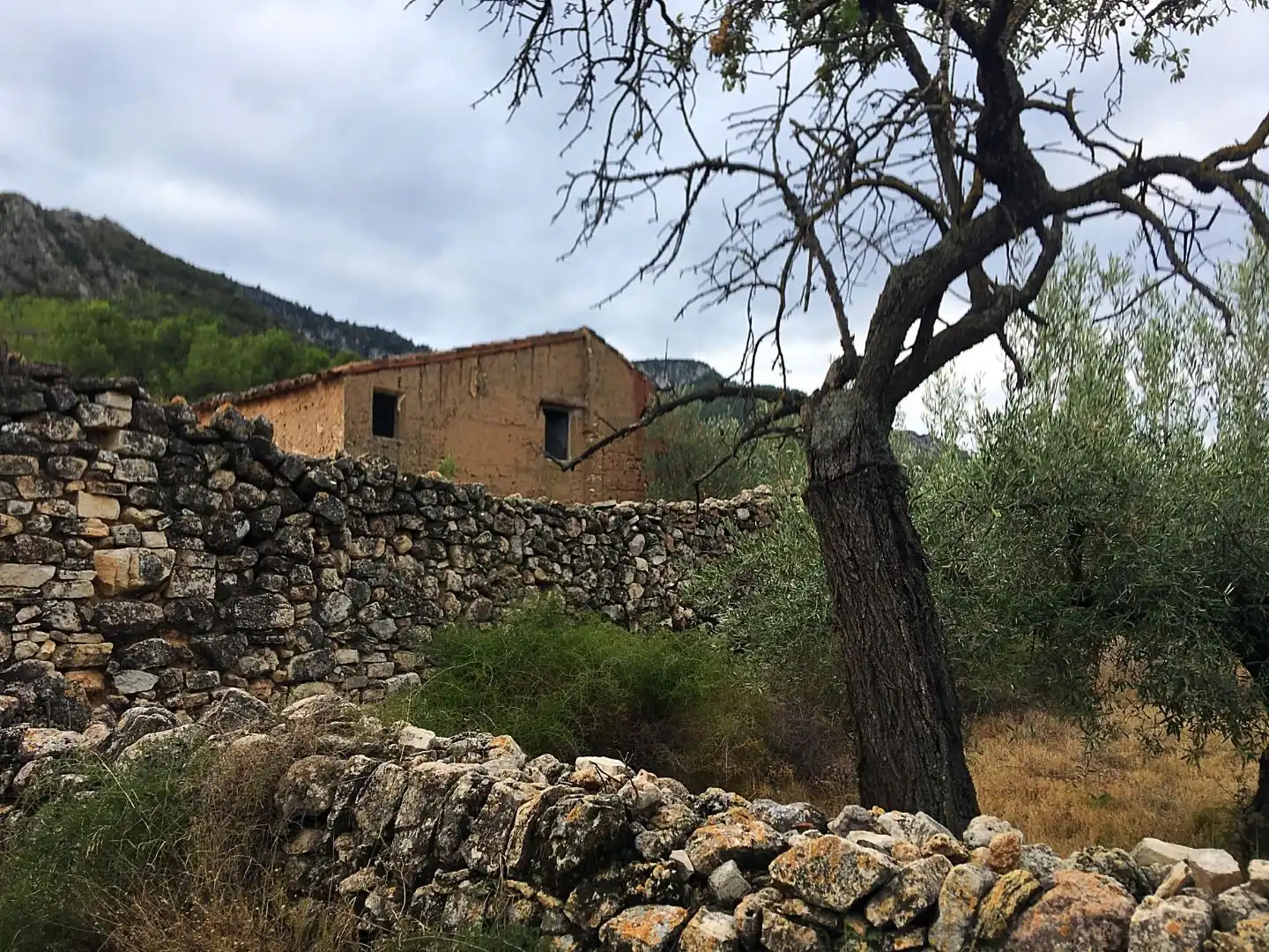 Vista exterior de Finca rústica en venda en Benifallet