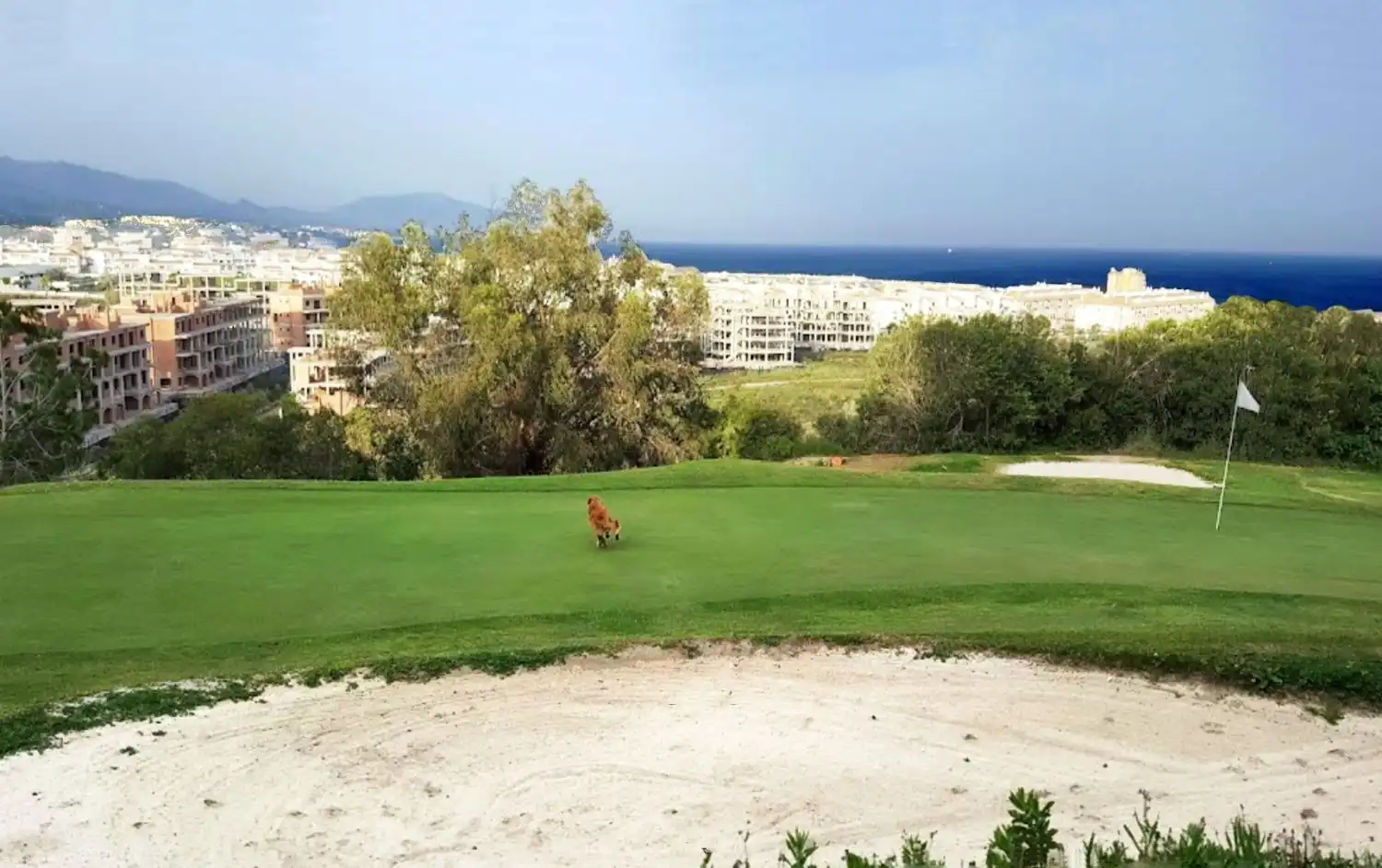 Mini appartamento con piscina in vendita a La Duquesa, imagen 18