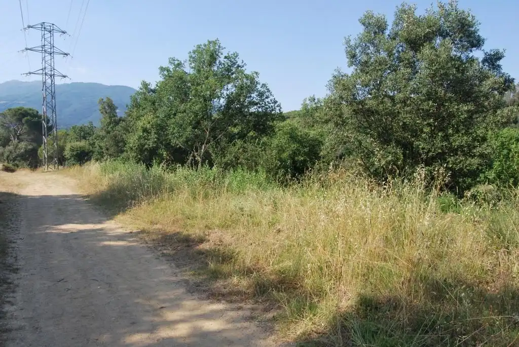 Terreny rústic en venda a Sant Celoni, imagen 35