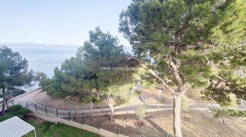 Foto 3 de Piso en venta en Palmanova, Calvià