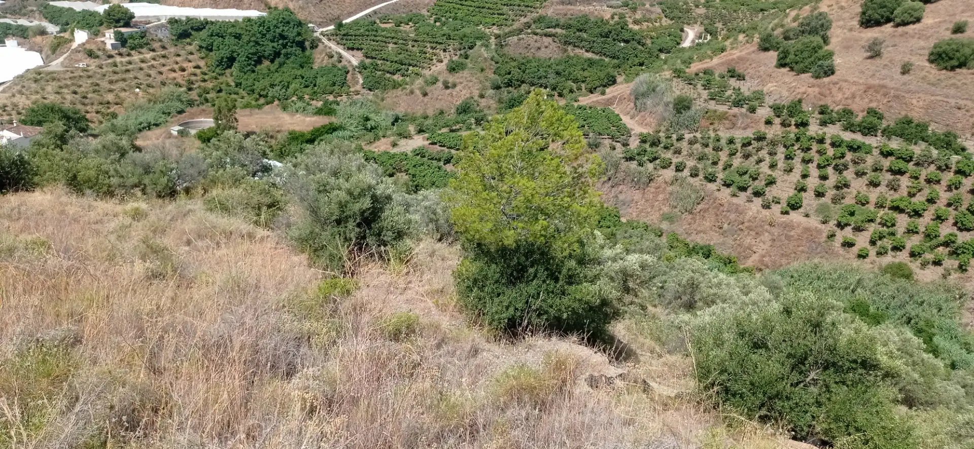 Terreny en venda en Vélez-Málaga