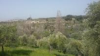 Land for sale in  Granada Capital