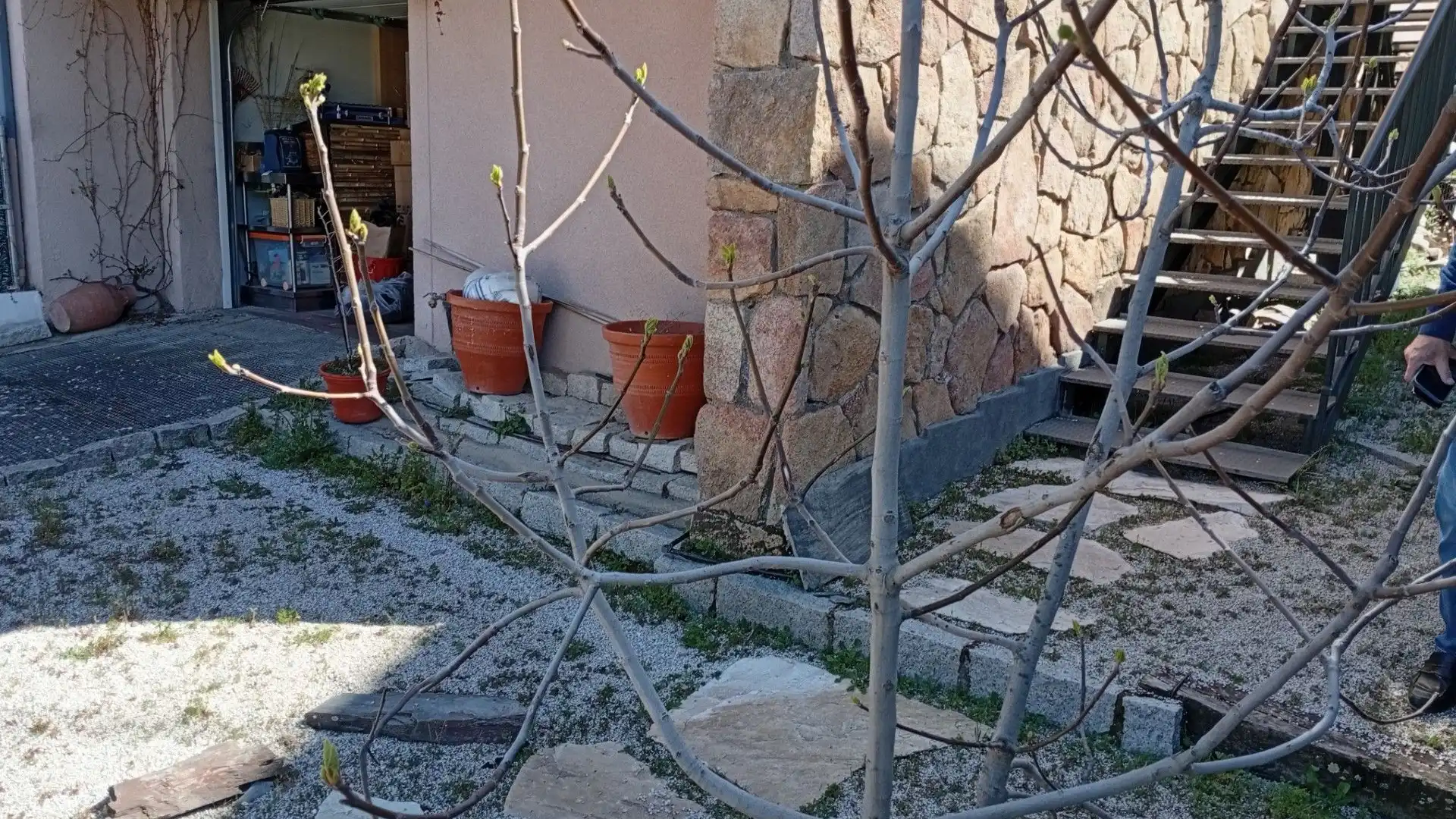 Jardín de Casa o chalet en venta en Collado Villalba con Calefacción, Jardín privado y Trastero