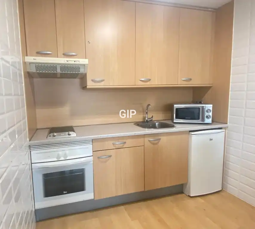 Cuina de Apartament de lloguer en Madrid amb Aire condicionat, Calefacció i Parquet