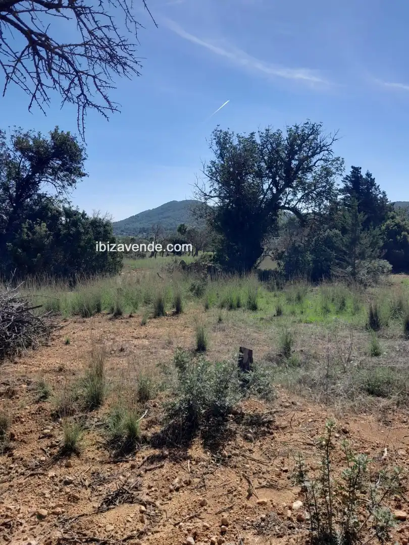 Terreno en venta en Es Canar, Sant Carles