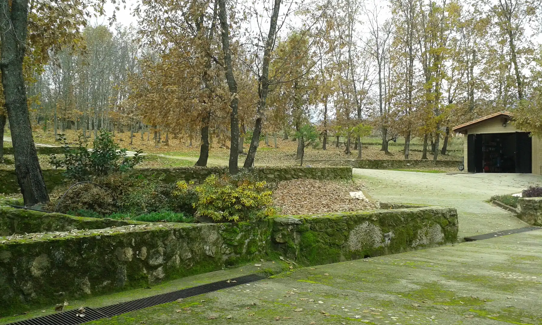Jardín de Casa o chalet en venta en Cuacos de Yuste con Aire acondicionado, Calefacción y Jardín privado