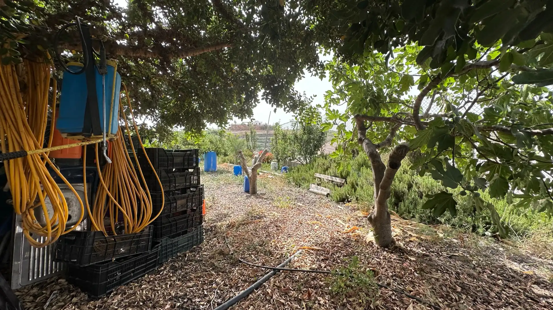 Jardín de Finca rústica en venta en Felix