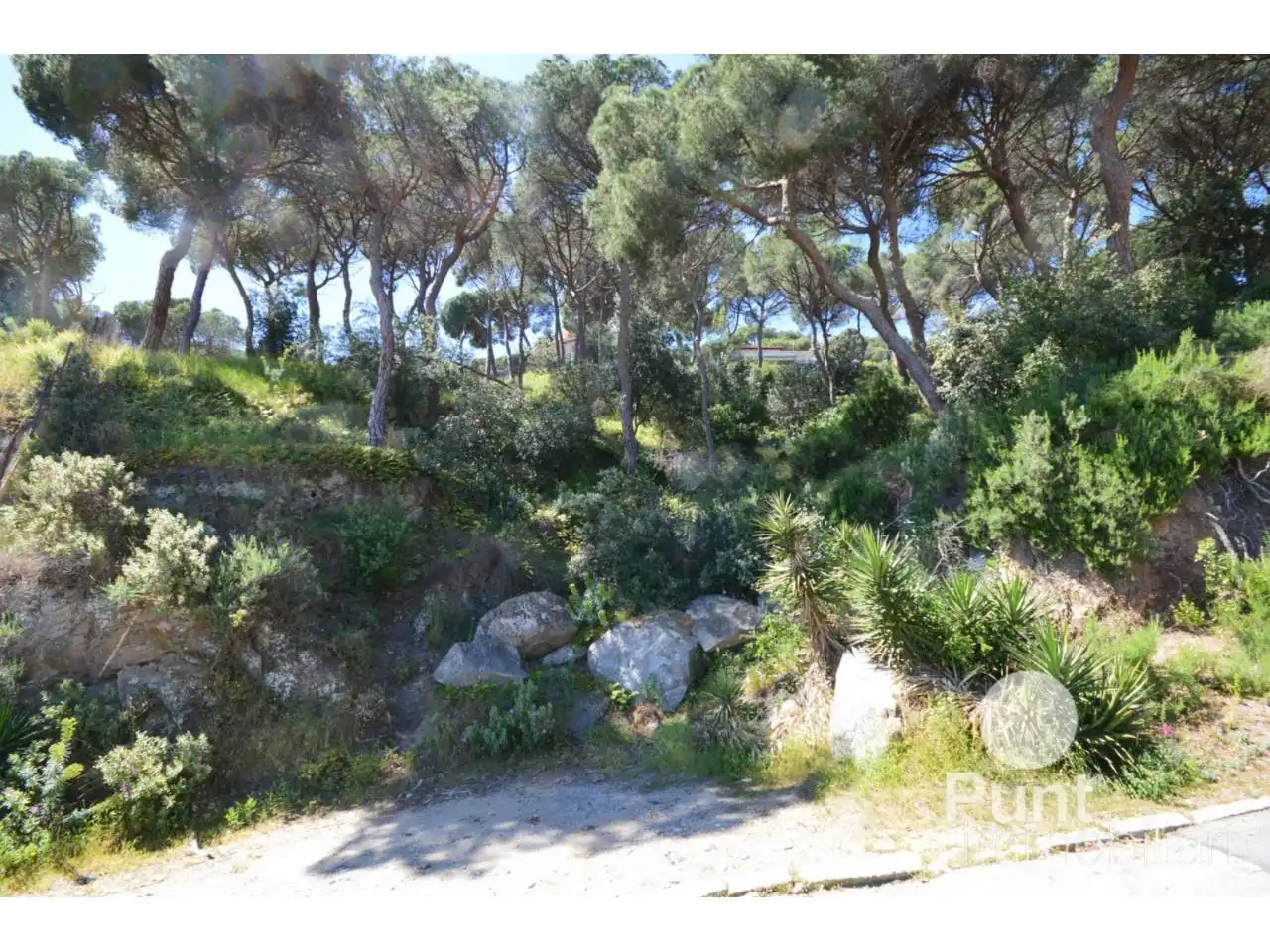 Exterior view of Land for sale in Premià de Dalt