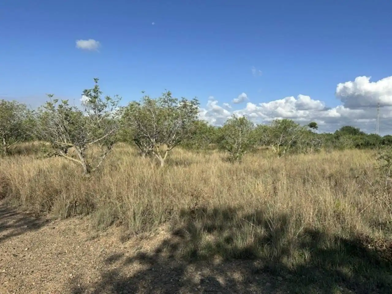 Terreno rústico en venta en Vila-seca Poble, imagen 7