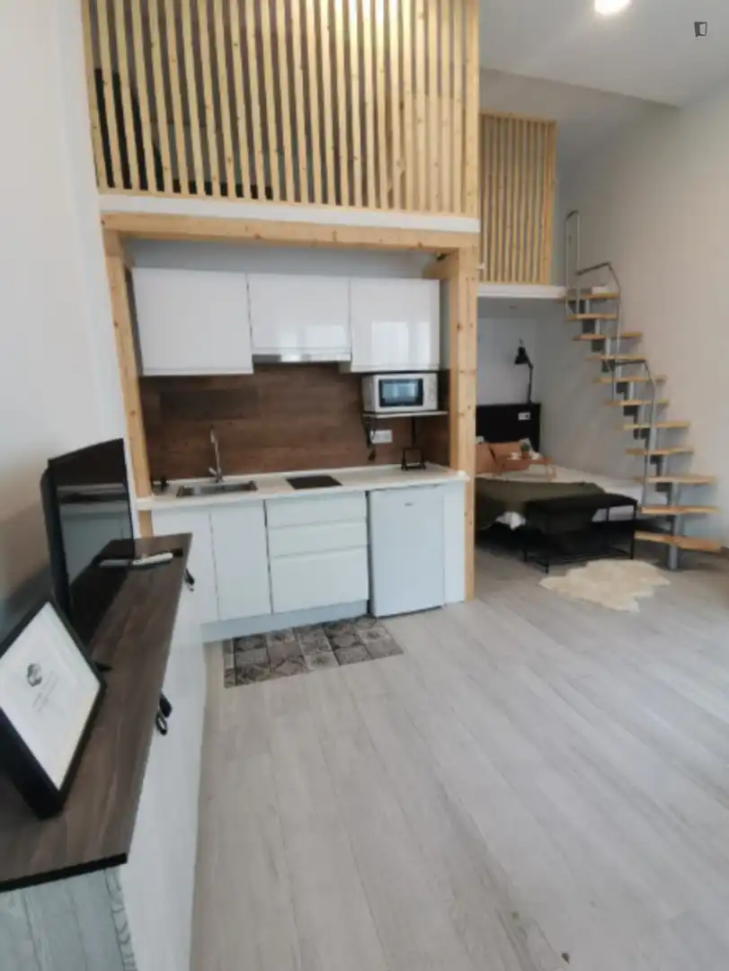 Estudio de alquiler en San Nicasio
