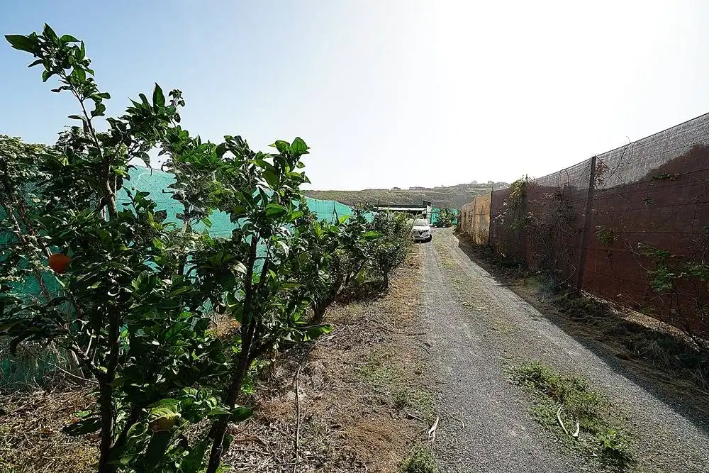 Finca rústica en venta en Camino DEHESA, 10, Santa María de Guía de Gran Canaria