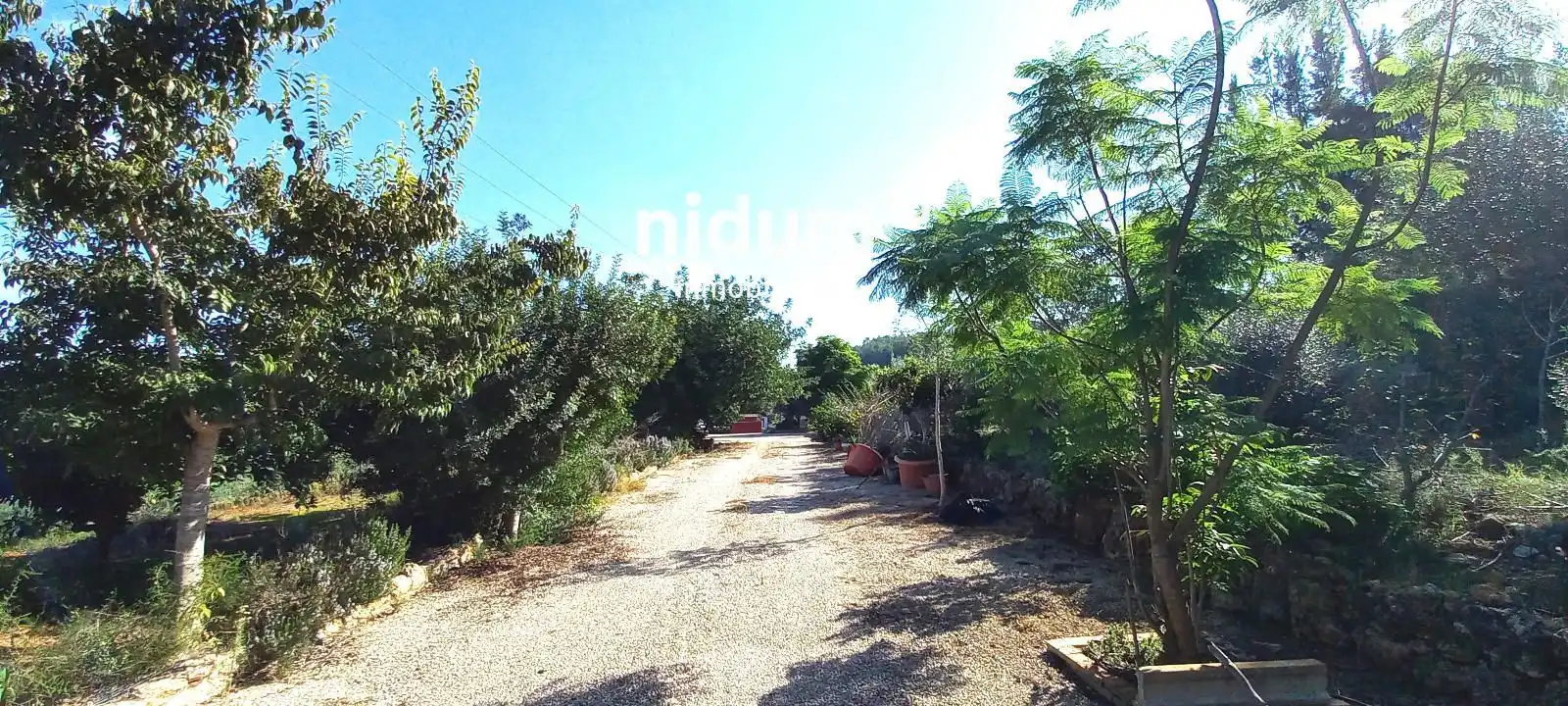Casa o chalet en venta en Llocnou d'En Fenollet