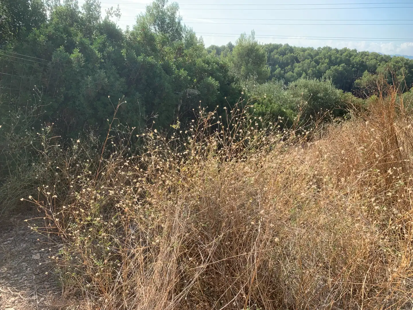 Wohnbaugrundstück zum Verkauf in Castellbisbal, imagen 3