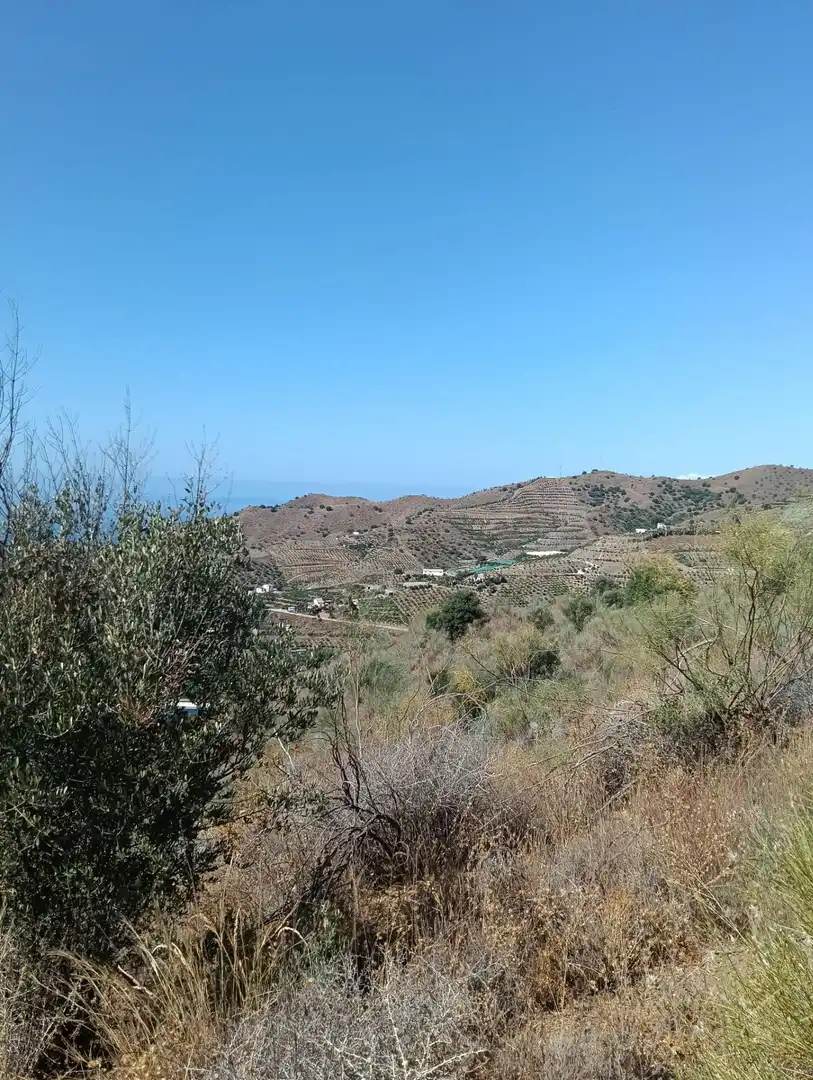 Terreni e lotti in vendita a Benajarafe, imagen 28