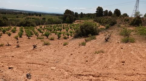 Foto 5 von Residential zum Verkauf in Pasaje Hoya Huesos, Venta del Moro, Valencia