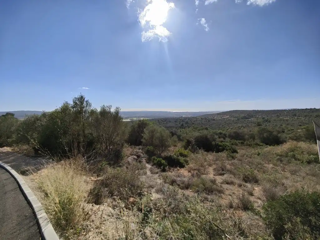 Terreny rústic en venda a Llevant, imagen 3