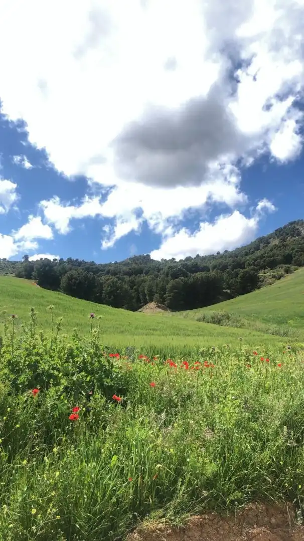 Terreno residenziale in vendita a Ardales, imagen 14