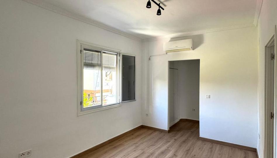 Photo 1 of Flat to rent in Padre Isla, San Carlos - San José, Sevilla