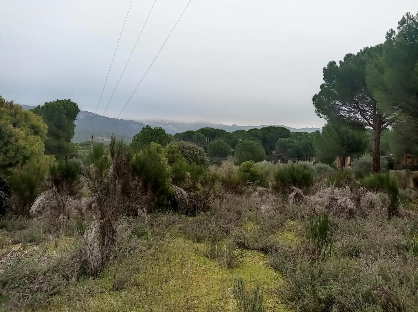 Terreny rústic en venda a San Martín de Valdeiglesias, imagen 6