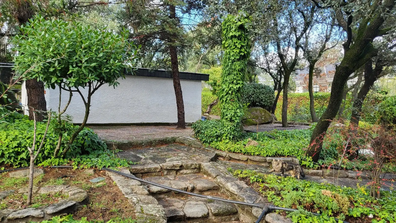 Villa mit Pool zum Verkauf in Alpedrete, imagen 25