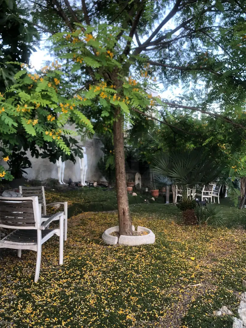 Casa en venta en Costa Cunit - Els Jardins - Els Rosers, imagen 36